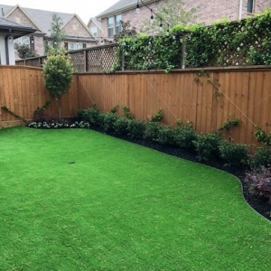 Photo of Texas Turf
