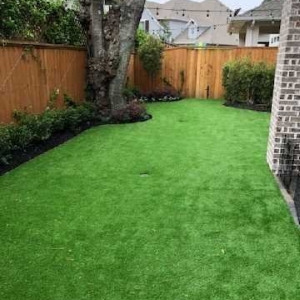 Photo of Texas Turf