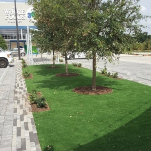 Photo of Texas Turf