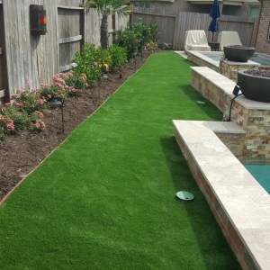 Photo of Texas Turf