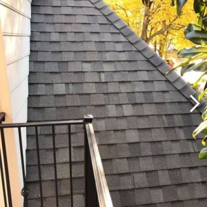 Photo of Roofing Renovations