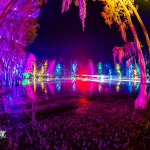 Photo of Falls City Event Lighting
