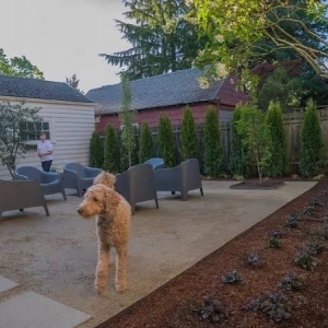 Photo of Precision Landscape Services Inc