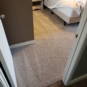 Photo of Huge Discount Carpet Care