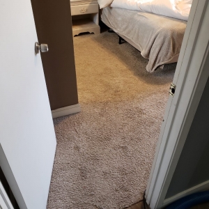 Photo of Huge Discount Carpet Care