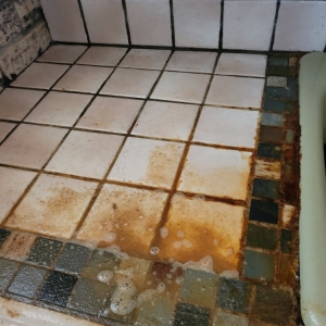 Photo of Juani's Cleaning Services