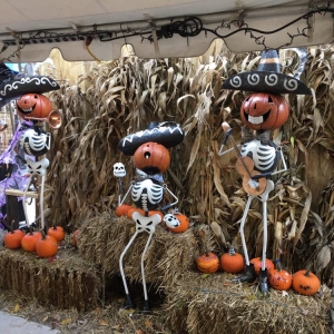 Photo of Allisonville Nursery