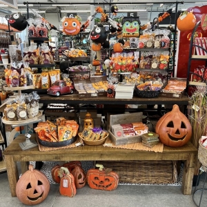 Photo of Allisonville Nursery