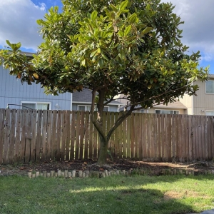 Photo of Roberts Lawn & Home Care