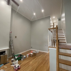 Photo of The Pro Painters