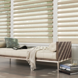 Photo of Scottsdale Window Coverings - Hunter Douglas