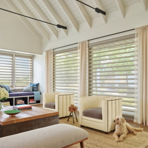 Photo of Scottsdale Window Coverings - Hunter Douglas