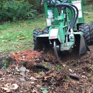 Photo of Artisan Landscaping & Tree Service