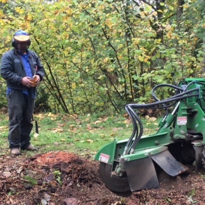 Photo of Artisan Landscaping & Tree Service