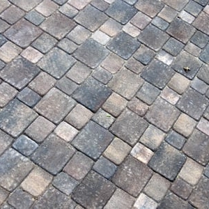 Photo of Prairie Path Group