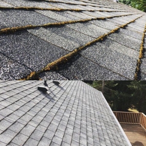 Photo of Expert Property Maintenance