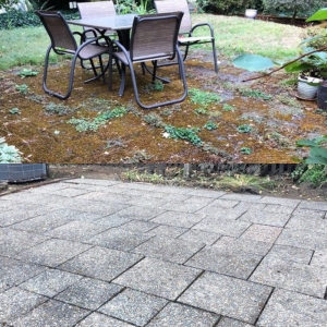 Photo of Expert Property Maintenance