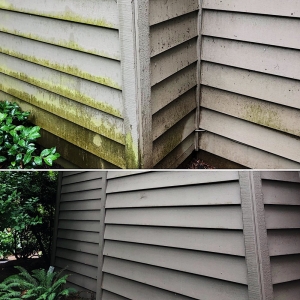 Photo of Expert Property Maintenance