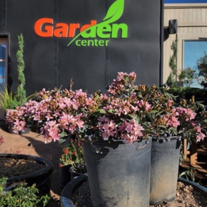 Photo of Garden Center of Las Cruces