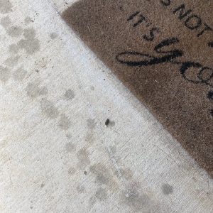 Photo of M&M Pest and Wildlife
