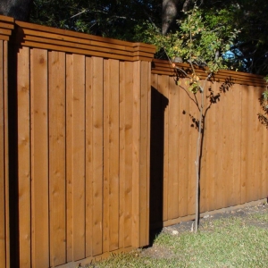 Photo of Fence Max Texas