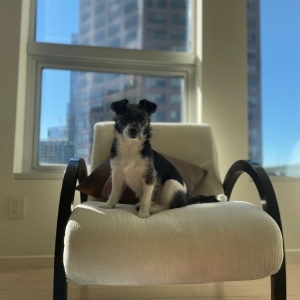 Photo of TENTEN Wilshire