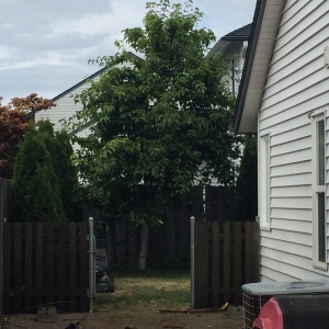 Photo of M & M Landscaping