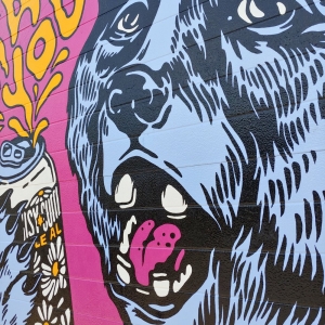 Photo of Purekreation