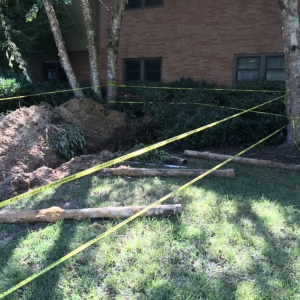 Photo of ANP Plumbing and Gas