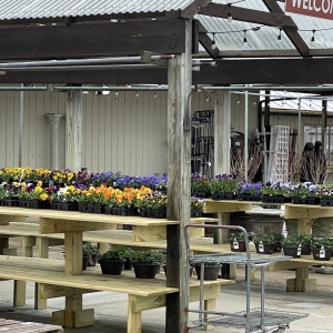 Photo of Dammann's Garden Company