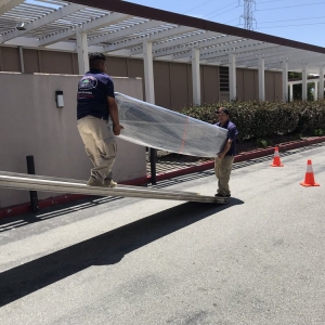 Photo of Jackie Movers
