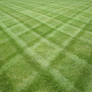Photo of Pro Green Fertilizing