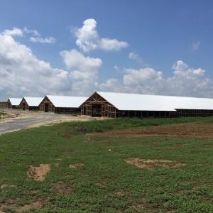 Photo of Metal Roofing Systems
