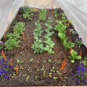 Photo of Hope Gardens Landscaping