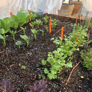 Photo of Hope Gardens Landscaping