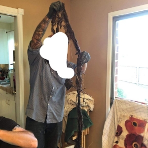 Photo of Shamrock Plumbing