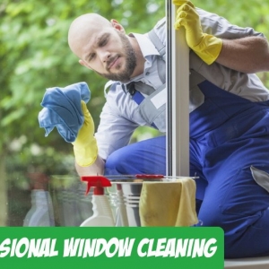 Chicago Chicago Racoons