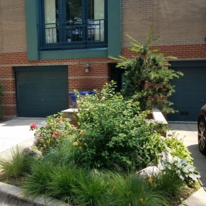 Photo of MetroScapesChicago