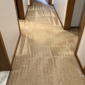 Photo of Craddock's Carpet Care