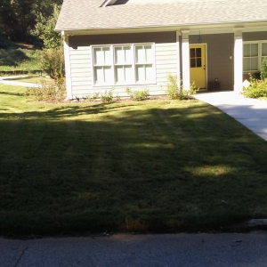 Photo of Grace Lawn Care Services