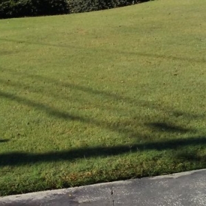 Photo of Grace Lawn Care Services