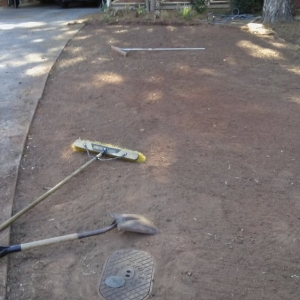 Photo of Grace Lawn Care Services