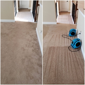 Photo of America's Choice Carpet Cleaning