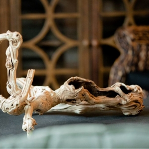 Conroe Design on a Dime Interiors