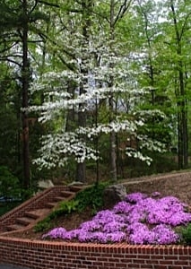 Photo of Wilson's Natural Landscaping