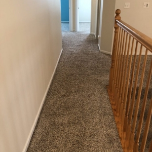 Photo of Premier Carpet Solutions
