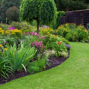 Seattle Solorio West Landscaping