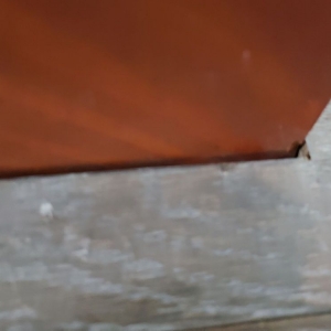 Photo of Royal Oaks Flooring