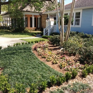 Photo of Matthew Ponseti Landscaping