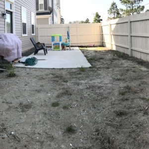 Chesapeake Strader Lawn Services
